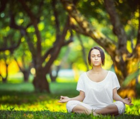 世界杯2026-福克斯状态火热难救主，凯尔特人一波流带走太阳